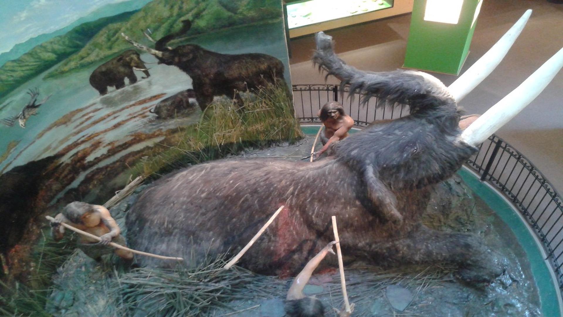 Salida pedagógica Museo Etnográfico De Colchagua