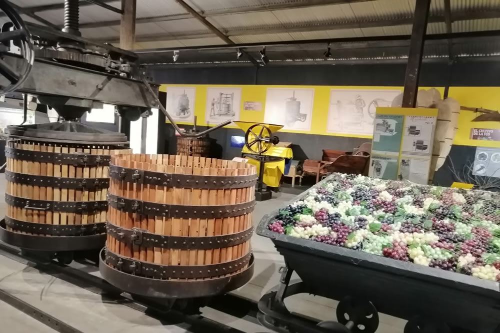 Salida pedagógica Museo Del Vino De Colchagua