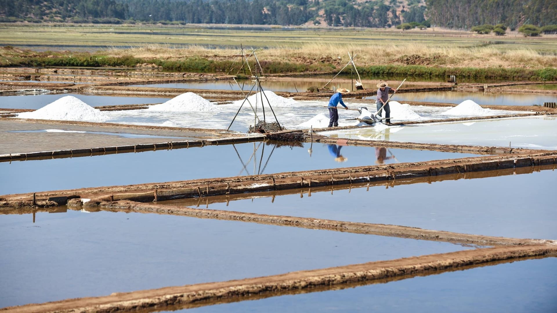 Salida pedagógica Salinas De Cahuil