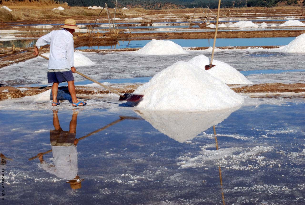 Salida pedagógica Salinas De Boyeruca