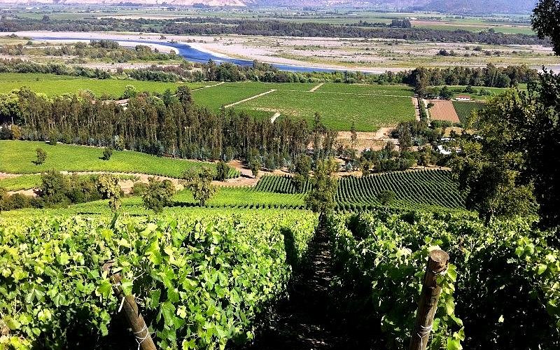 Salida pedagógica Viñas Del Valle Las Pitras