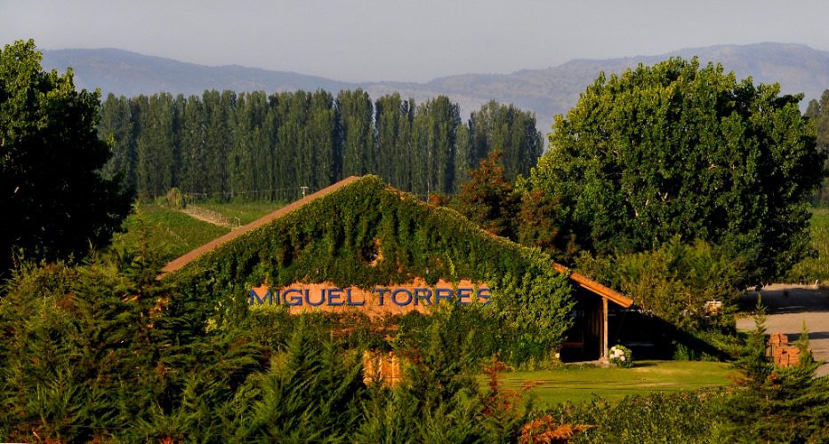 Salida pedagógica Viñas Del Valle Miguel Torres