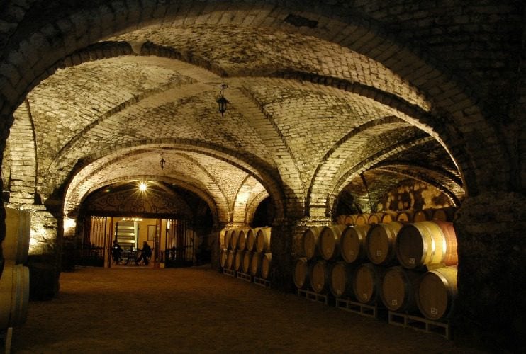 Salida pedagógica Viñas Del Valle San Pedro
