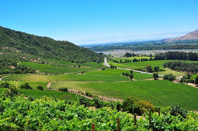 Salida pedagógica Viñas Del Valle Viñedos Puertas