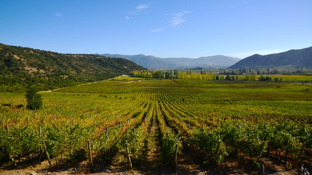 Salida pedagógica Viñas Del Valle Viña Valdivieso
